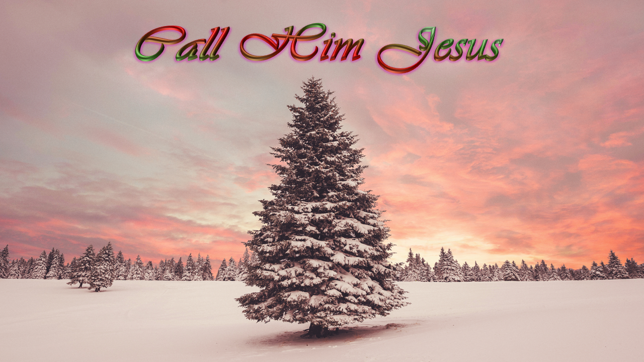 Music is the Voice of God. The voice of the Lord is powerful; the voice of the Lord is majestic. [Psalm 29:4]. *Image Loading. Ensure JavaScript is Enabled.*