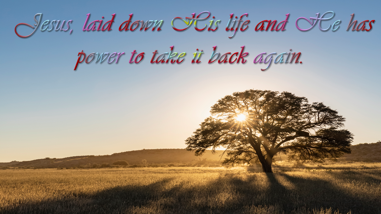 Music is the Voice of God. The voice of the Lord is powerful; the voice of the Lord is majestic. [Psalm 29:4]. *Image Loading. Ensure JavaScript is Enabled.*